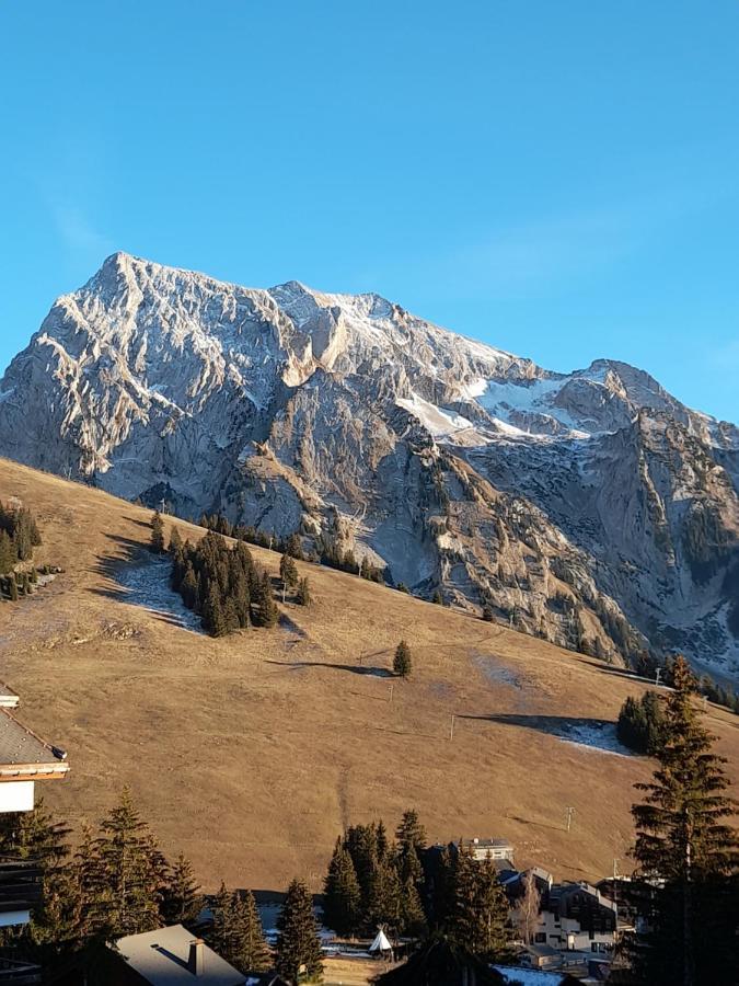 Appartement Au Coeur Des Aravis มานิโกด ภายนอก รูปภาพ