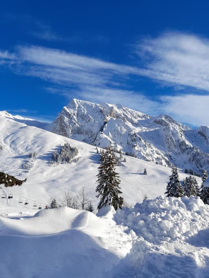 Appartement Au Coeur Des Aravis มานิโกด ภายนอก รูปภาพ